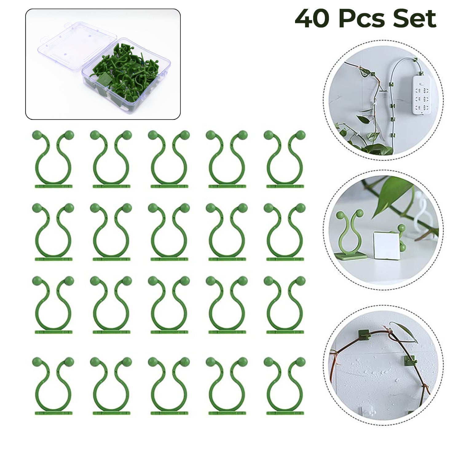 Orchid Clips Orchid Clips